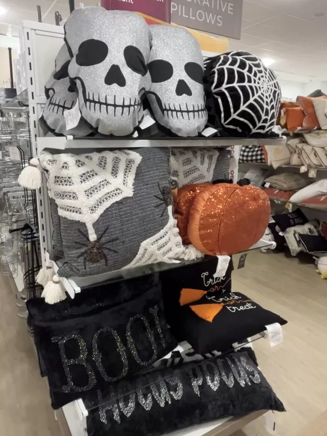 HomeGoods Fall Decor PT 2