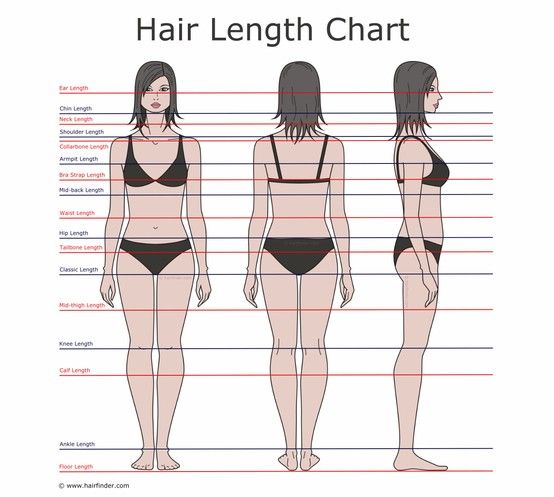 hair length chart