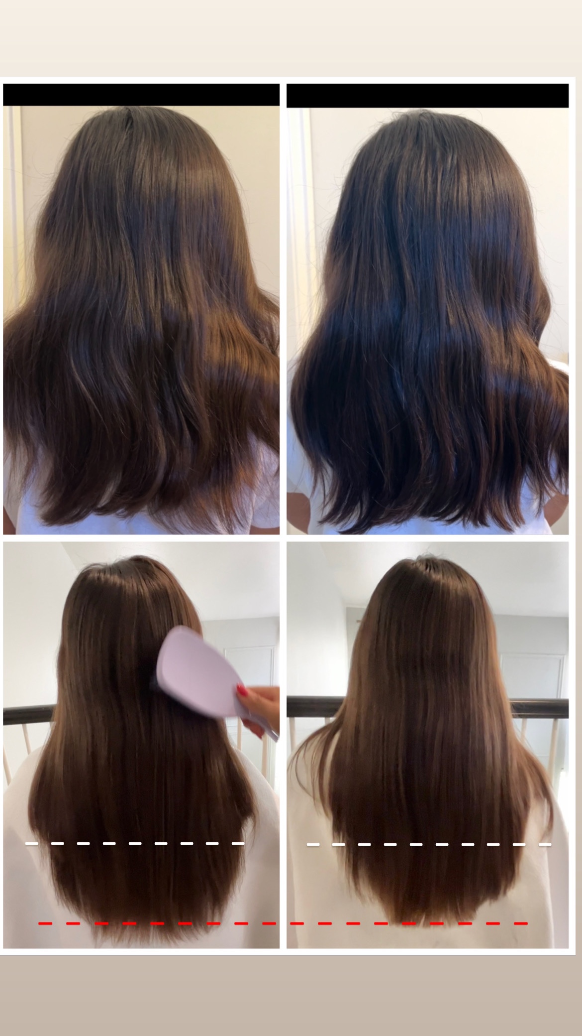6 month hair growth progress