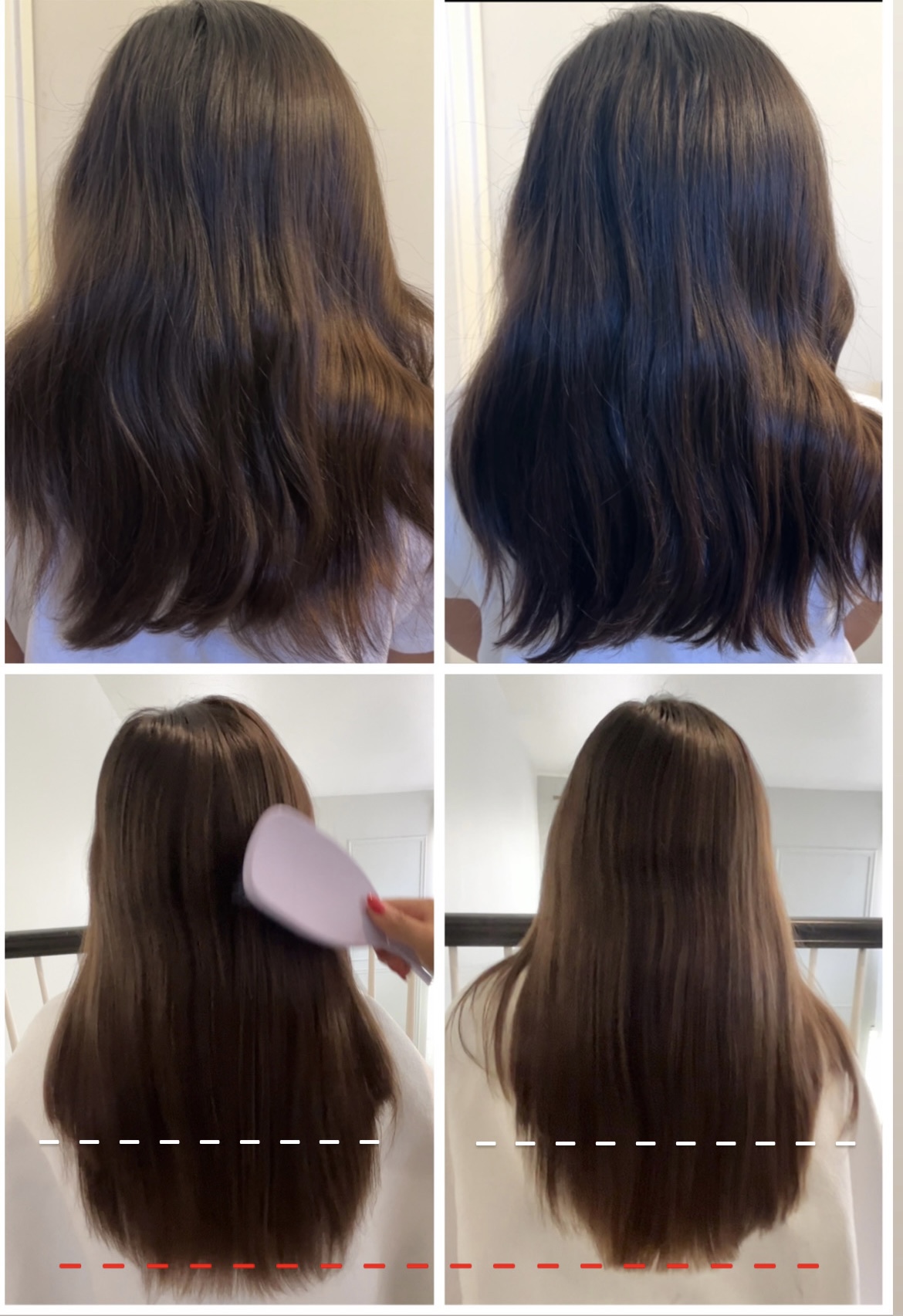 hair growth progress 